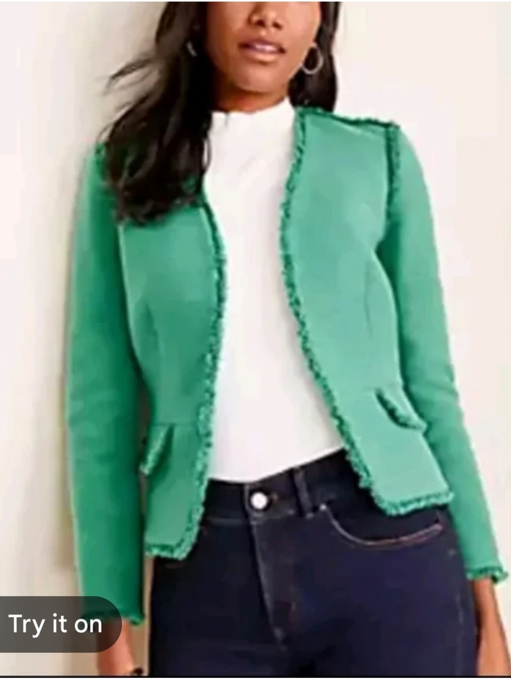 Ann Taylor Fringe Tweed Blazer Jacket 8